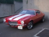 strip & white 1970