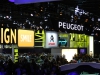 stands Mondial auto Paris 2014 (101)