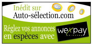 payer annonce auto en ligne