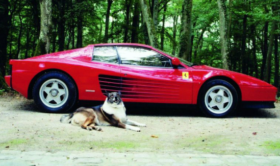 Ferrari Testarossa de Alain Delon