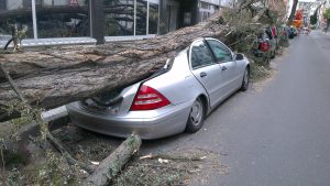 Arbre tombé qui écrase une voiture grise en ville