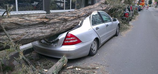 Arbre tombé qui écrase une voiture grise en ville