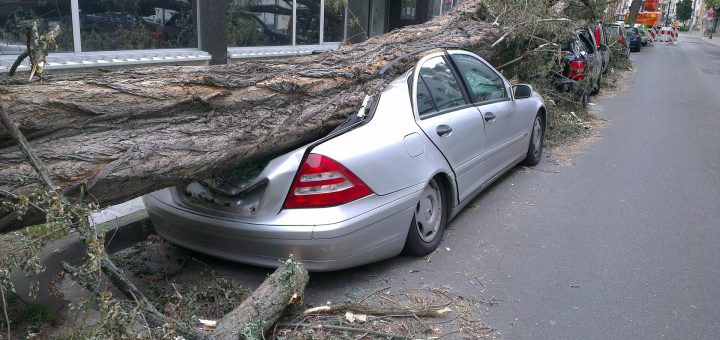 Arbre tombé qui écrase une voiture grise en ville